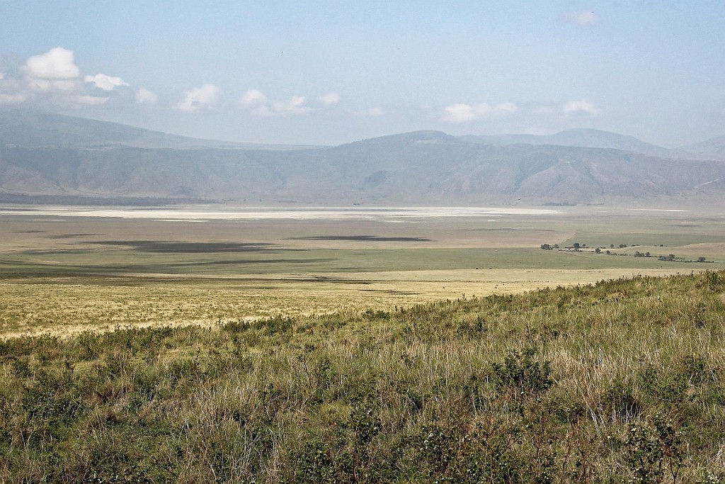 TaZa (237).jpg