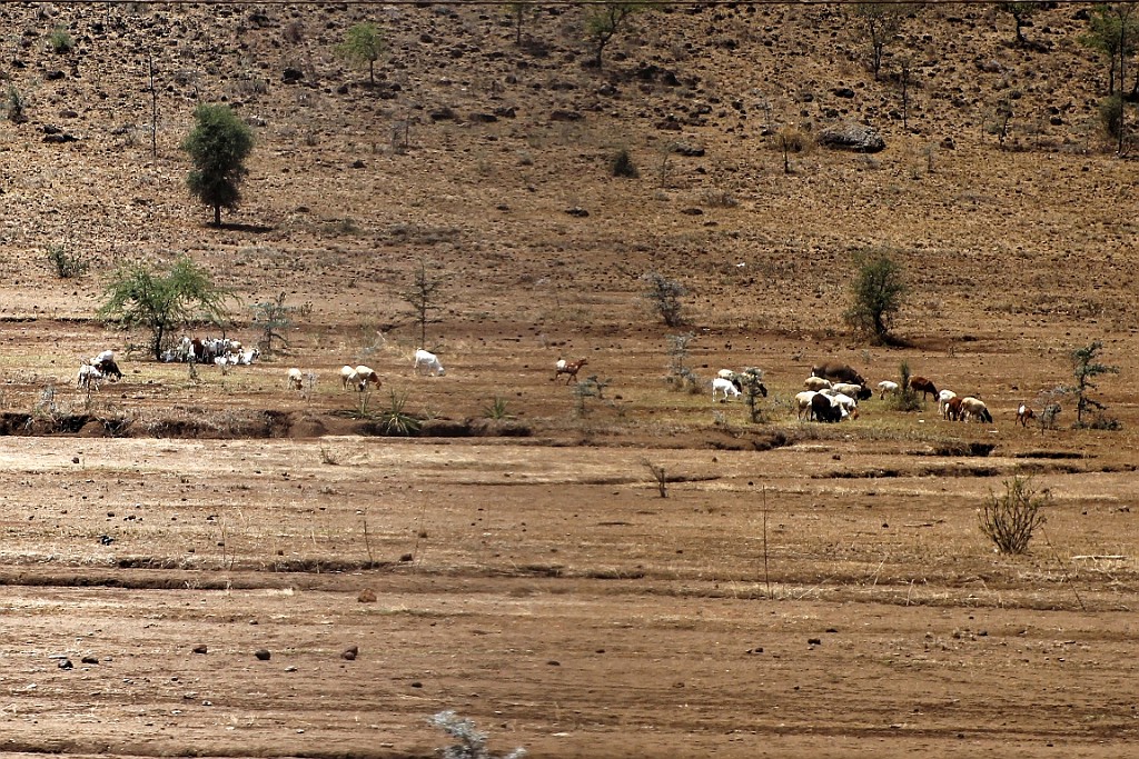 TaZa (41).jpg