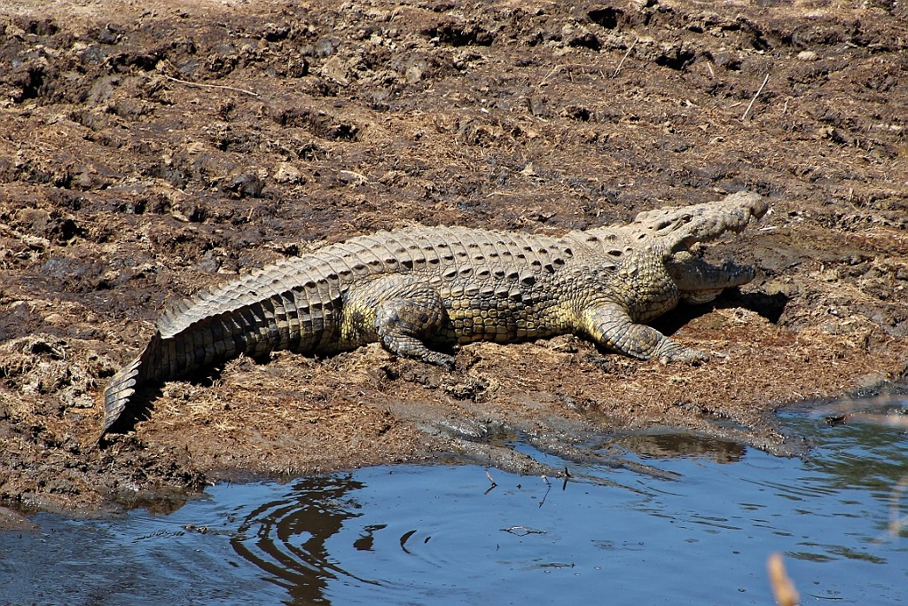 TaZa (506).jpg