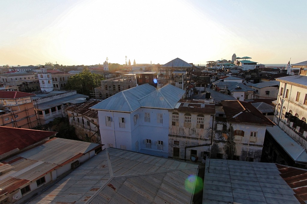 TaZa (663).jpg