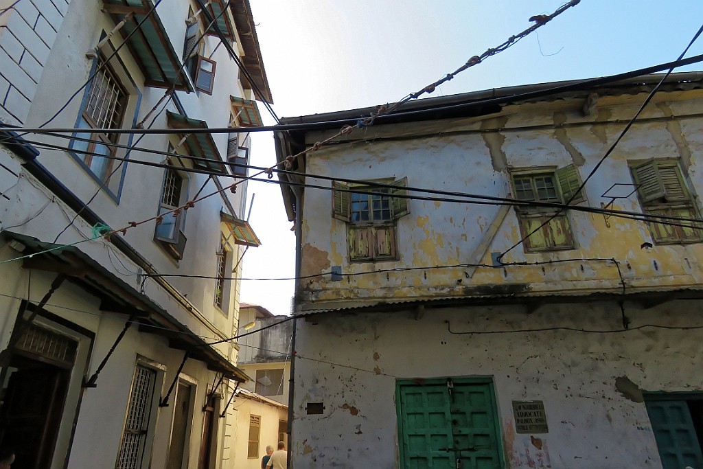 TaZa (715).jpg