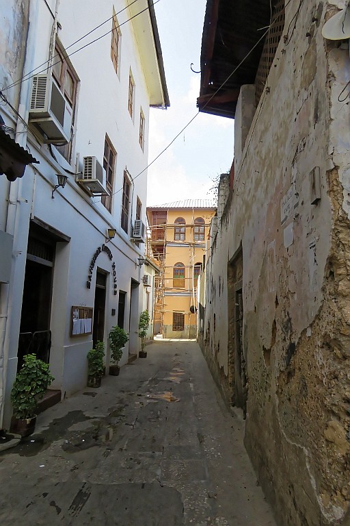 TaZa (733).jpg