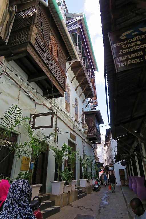 TaZa (737).jpg