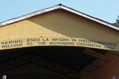 TaZa (209)
