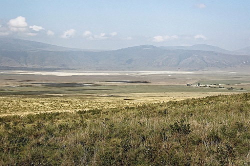 TaZa (237)