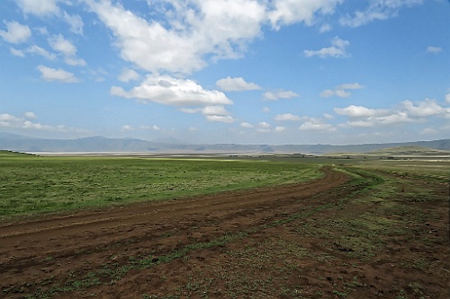 TaZa (261)