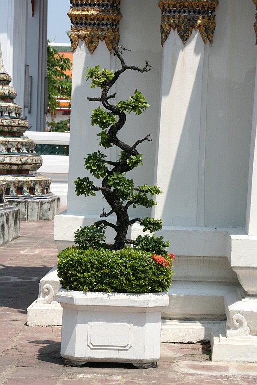 Thai071.JPG