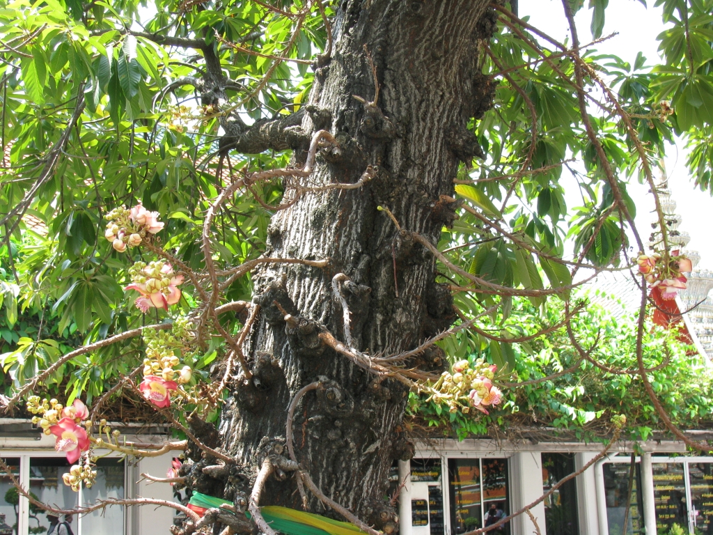Thai075.JPG