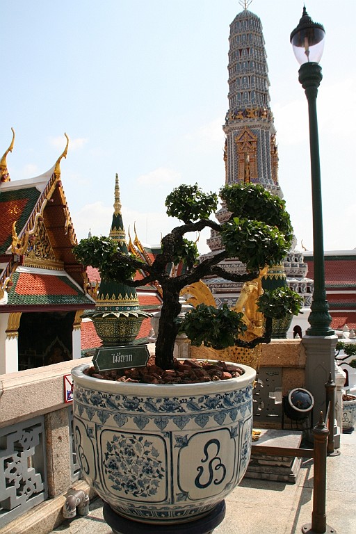 Thai172.JPG