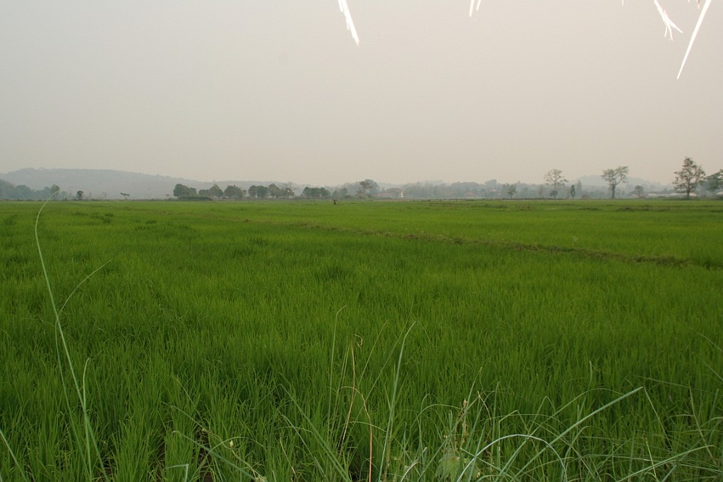 Thai629.JPG
