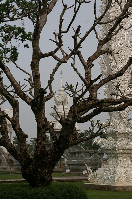Thai644.JPG