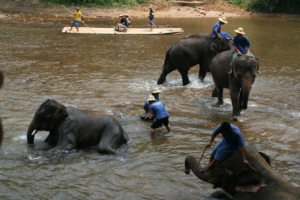 Thai744.JPG