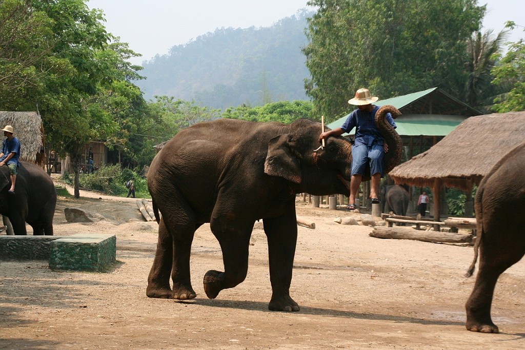 Thai749.JPG