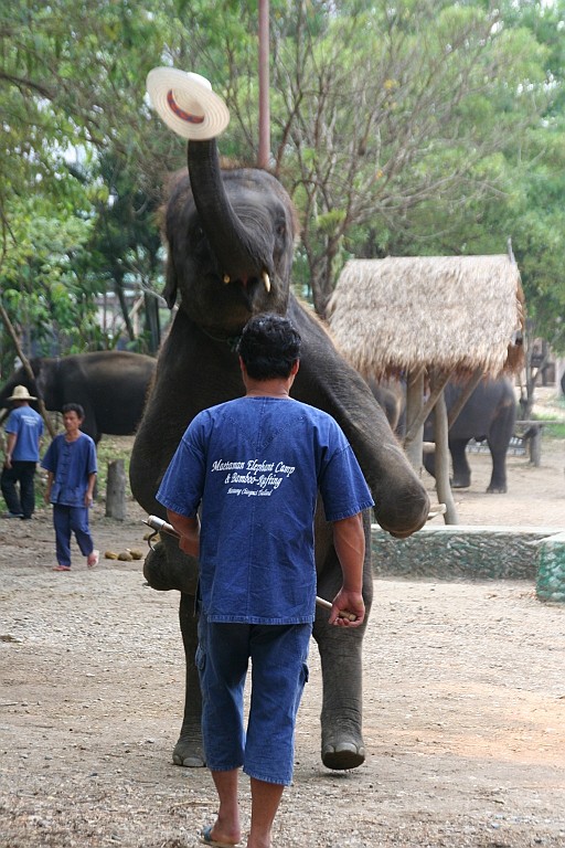 Thai755.JPG