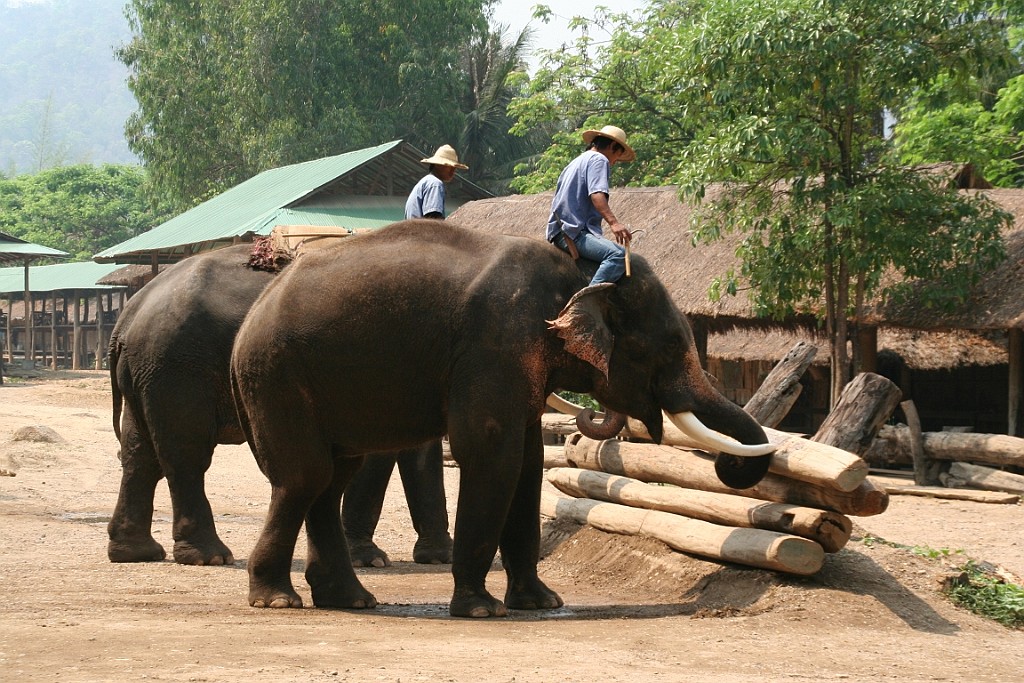 Thai762.JPG