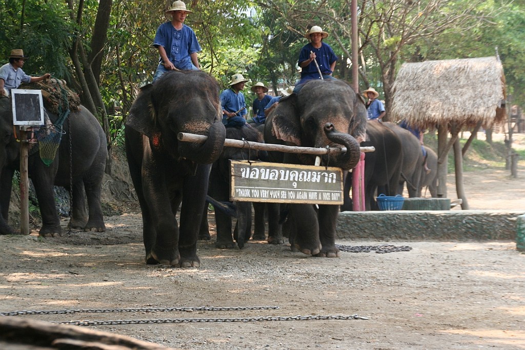 Thai763.JPG