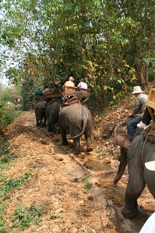 Thai770.JPG