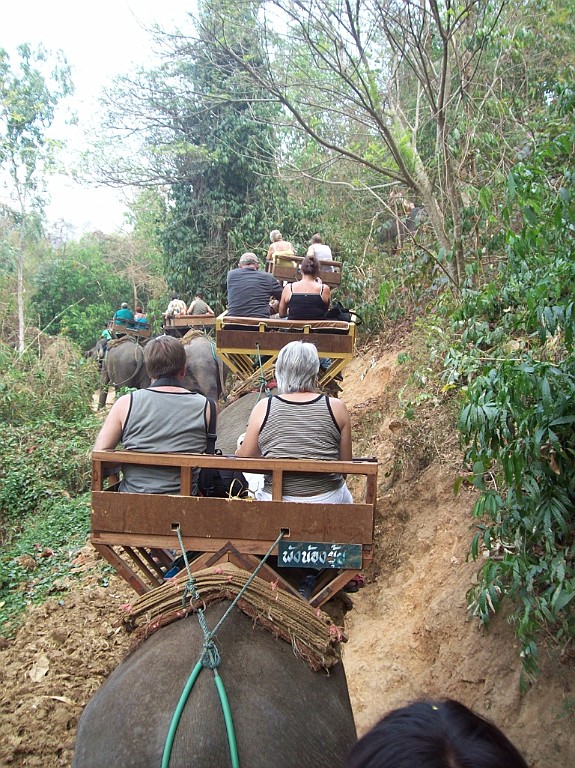 Thai771.jpg