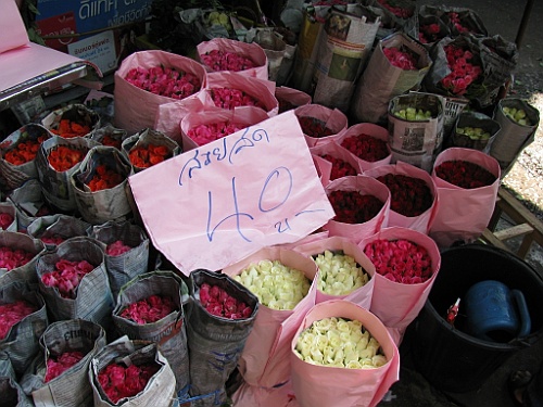 Thai016