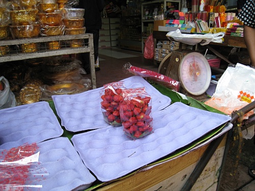 Thai029