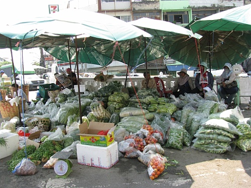 Thai043