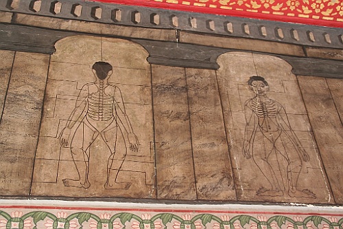 Thai067