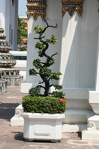 Thai071