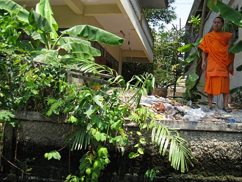 Thai093