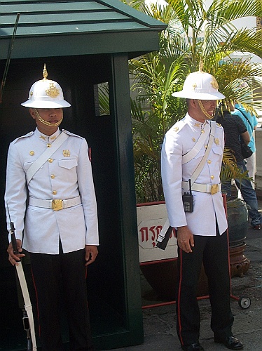 Thai142