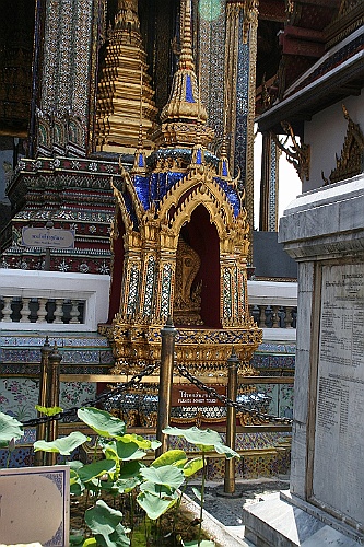 Thai147