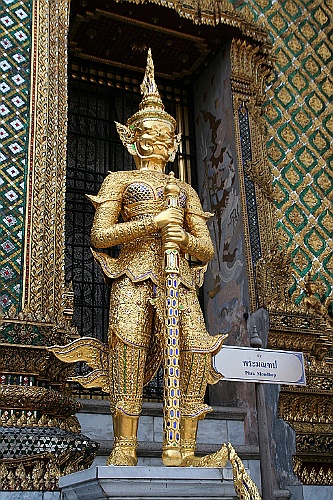 Thai167