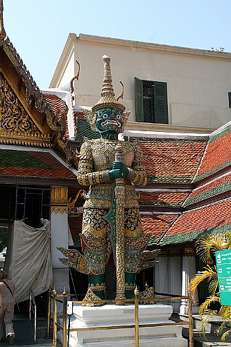 Thai185
