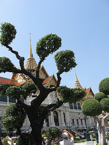Thai191