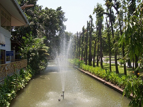 Thai197