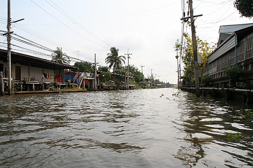 Thai251