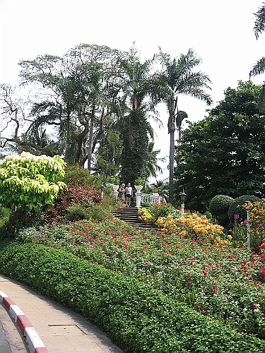 Thai284
