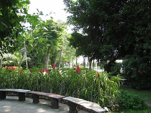 Thai287