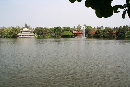 Thai291