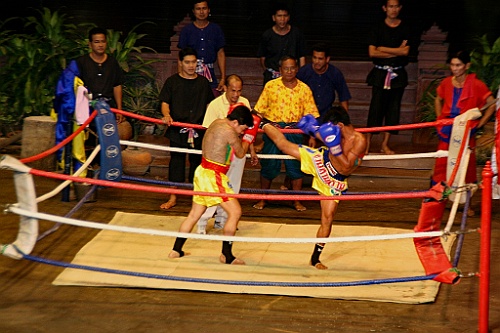 Thai304
