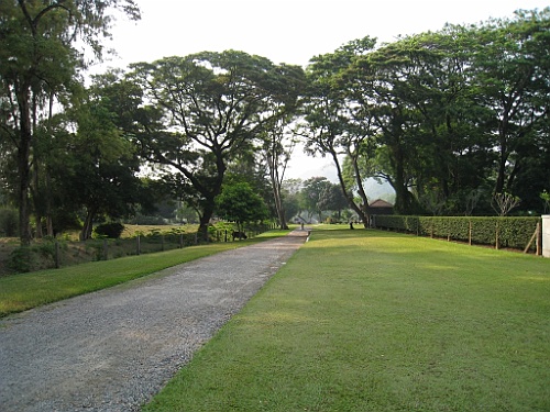 Thai326