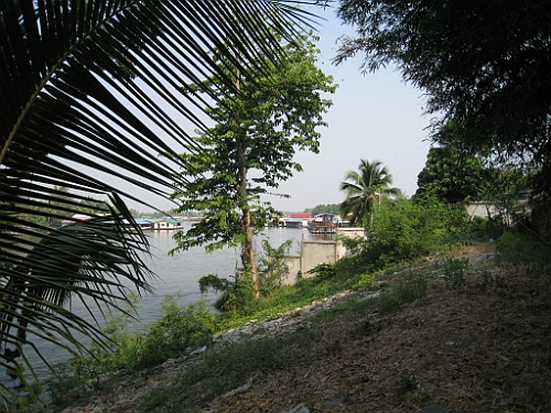 Thai329