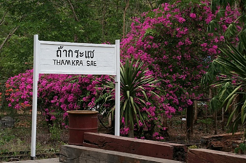 Thai363