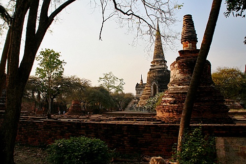 Thai379