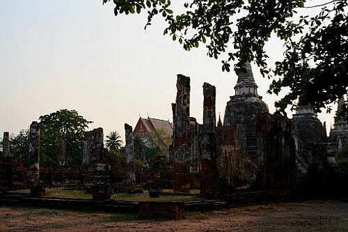 Thai386