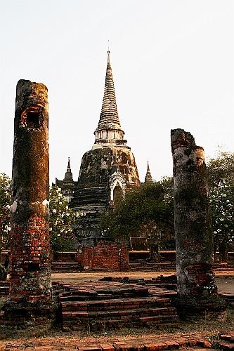 Thai390