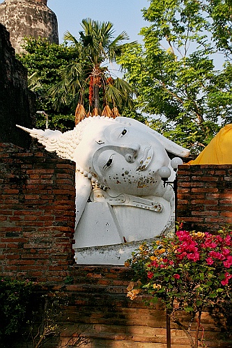 Thai396