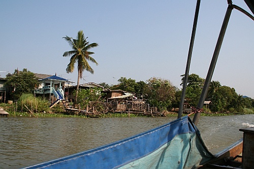 Thai413