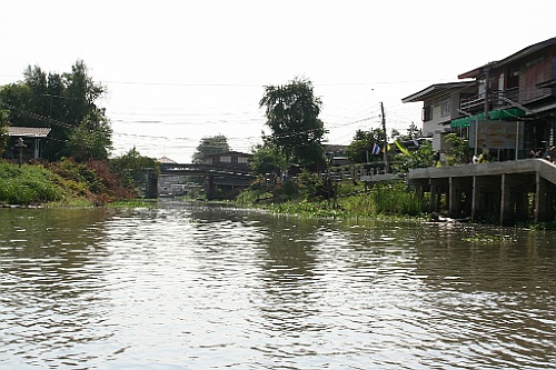 Thai423