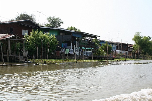 Thai424