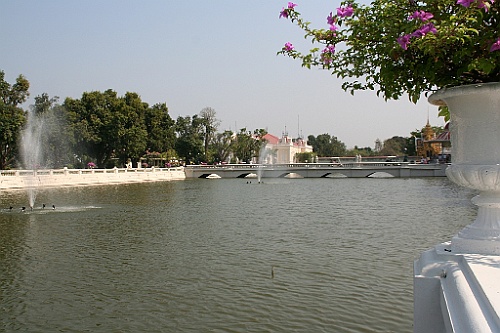 Thai429